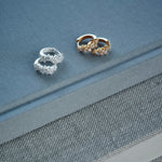 Erica Hoops